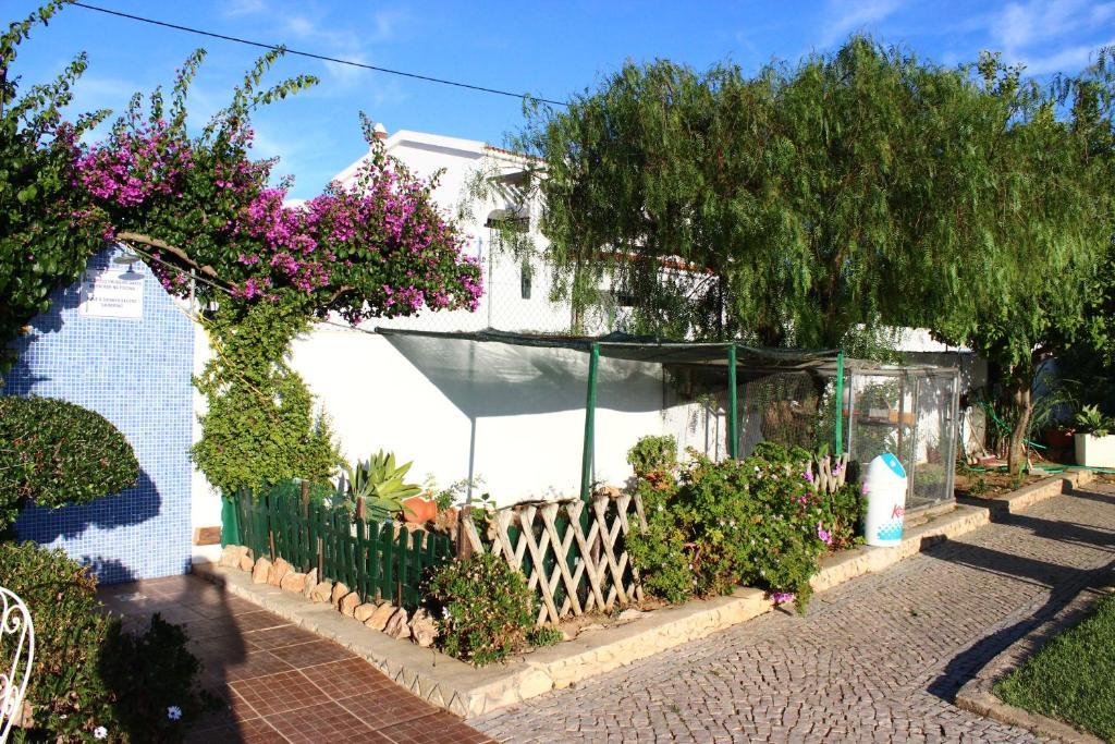 Sunshine Hotel Albufeira Bagian luar foto